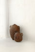 Mas Maya Coating Salt Sample Plaque