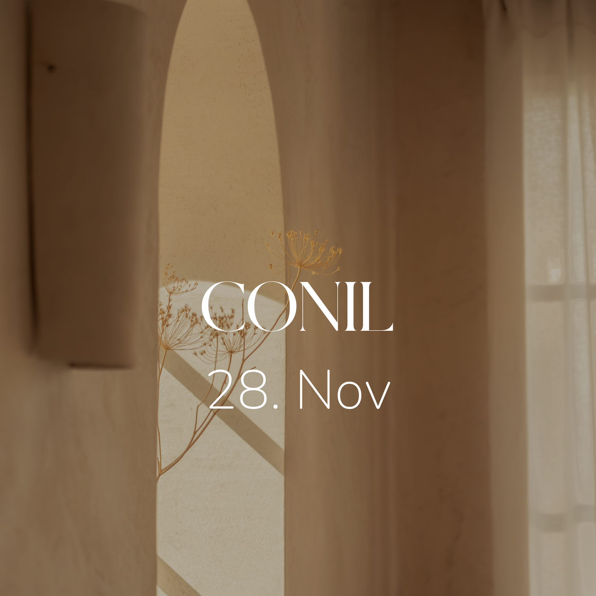Mas Maya application course in Conil, Spain