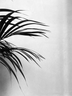 Visite Nosso Showroom