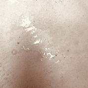 Presealer (Sellador Preliminar)